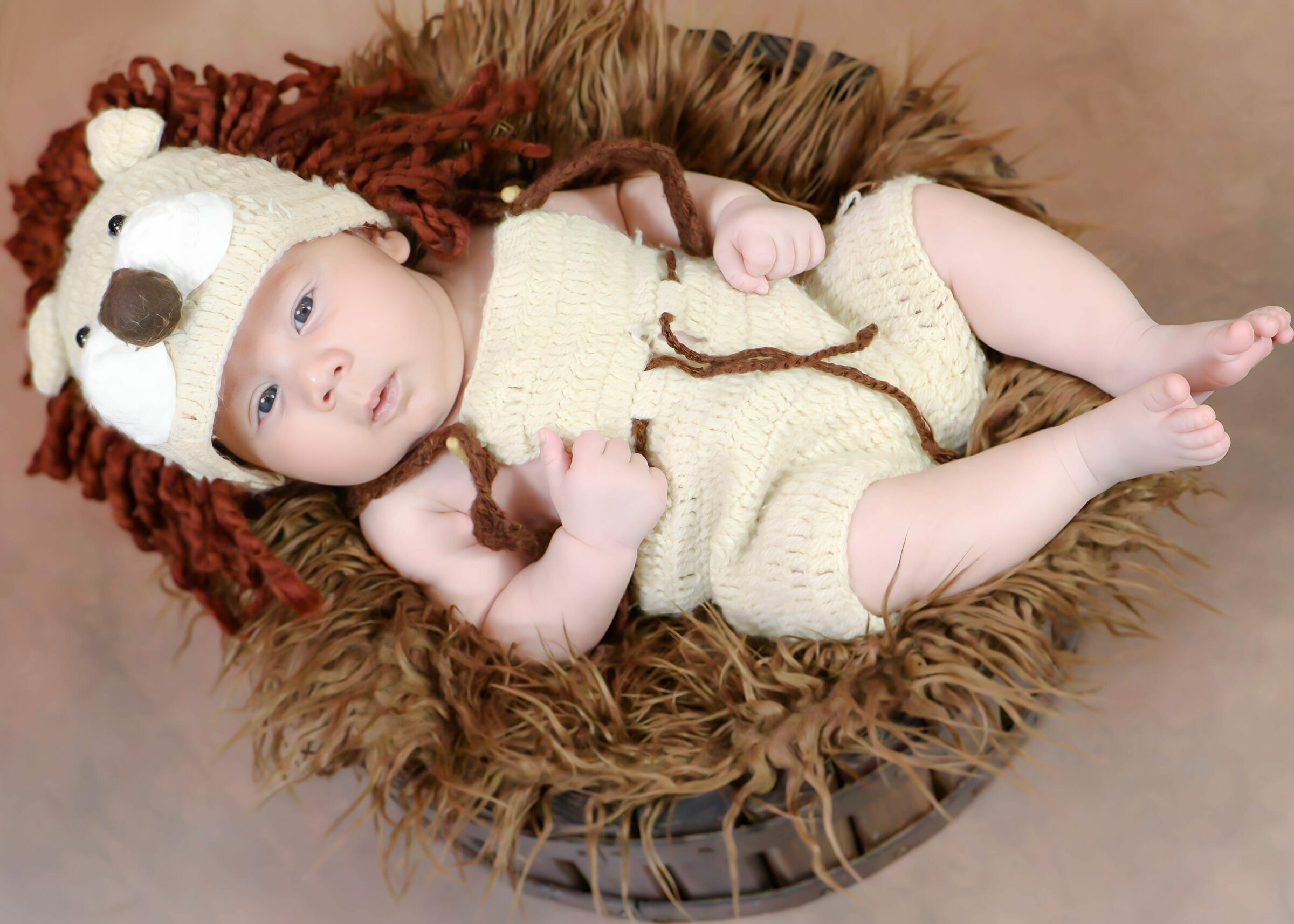 Foto de Bruna Lima Fotografia 8