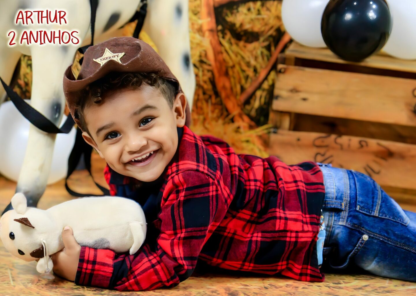 BOOK INFANTIL - ARTHUR 2 ANINHOS