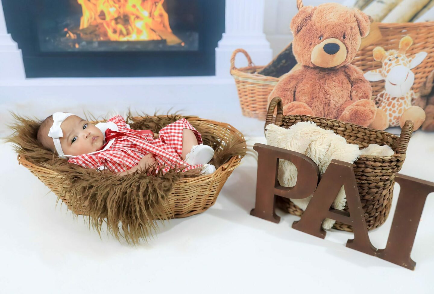 BOOK FAMILIA - ANA LÍVIA