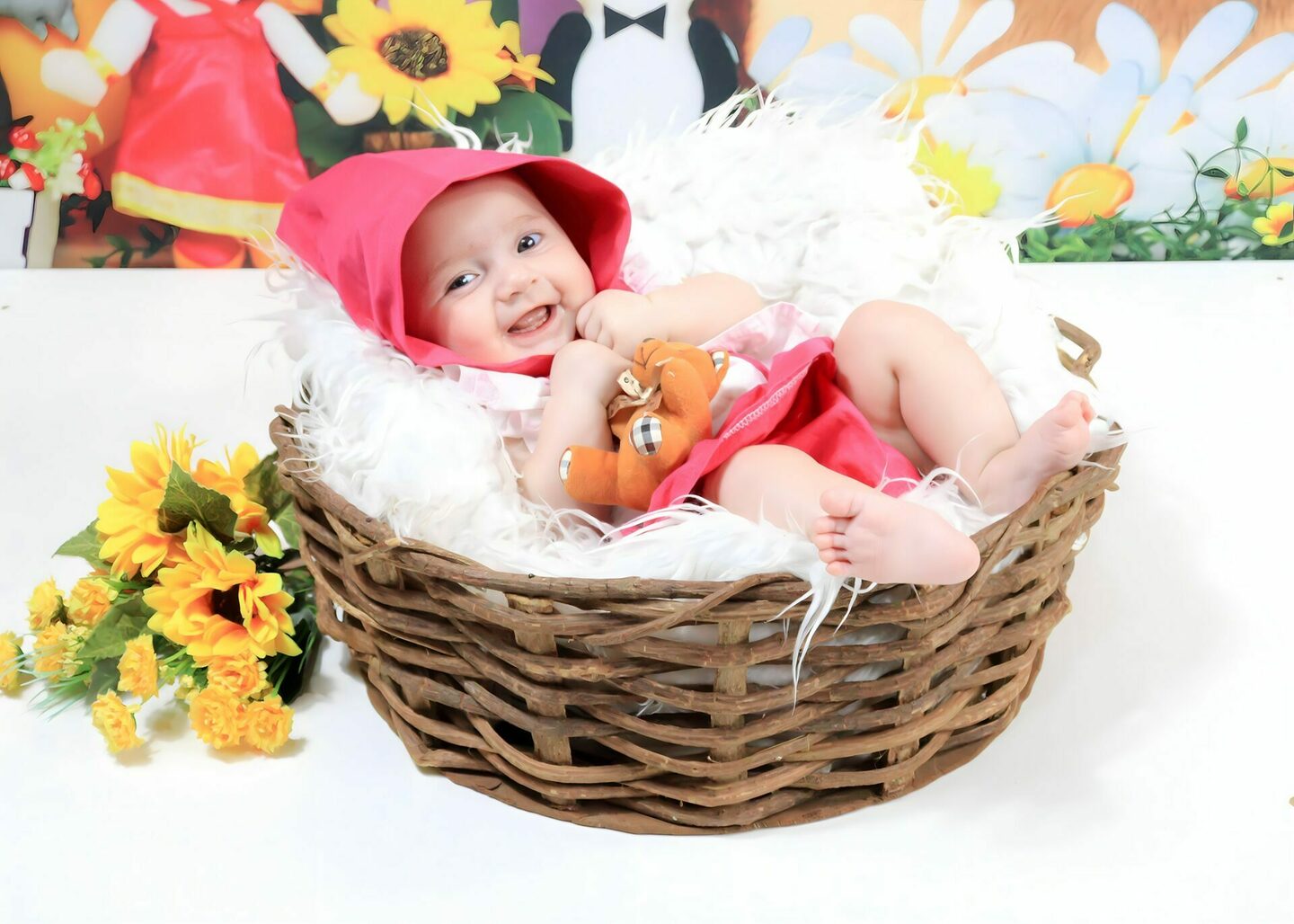 SOPHIA - completando seu 4° MÊS- mamãe CAROL