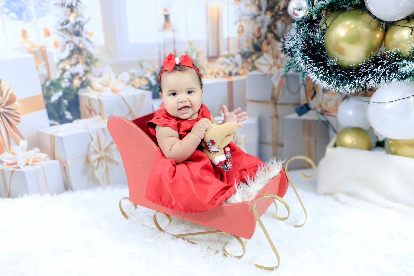 BOOK ESPECIAL DE NATAL - CARINA