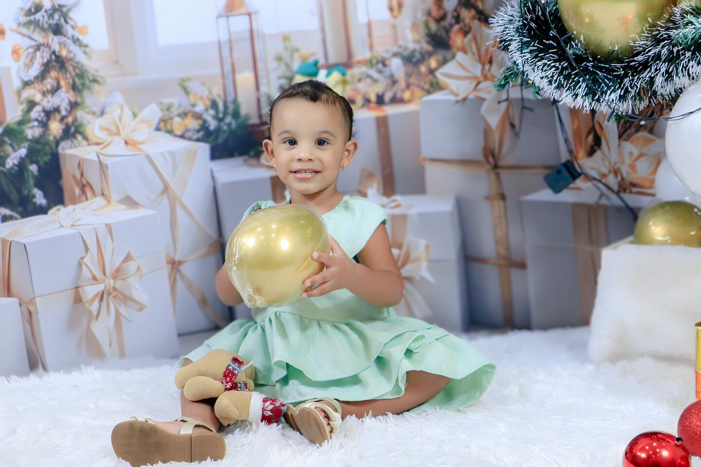 BOOK ESPECIAL DE NATAL -  EVILYN