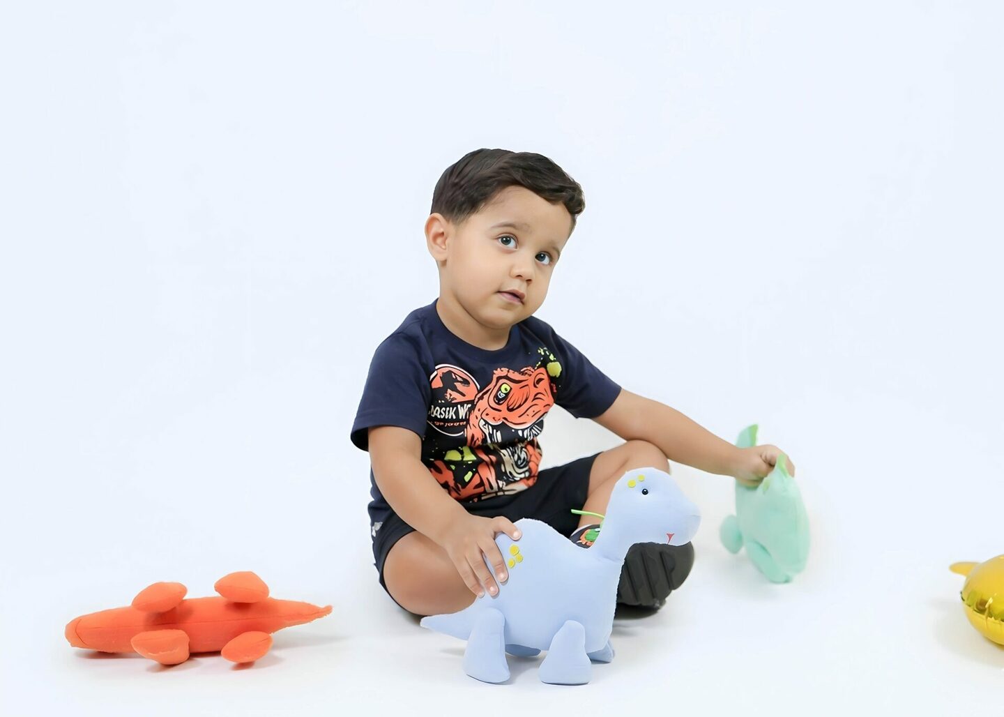 BOOK INFANTIL - CLEBER RAVY 3 ANINHOS