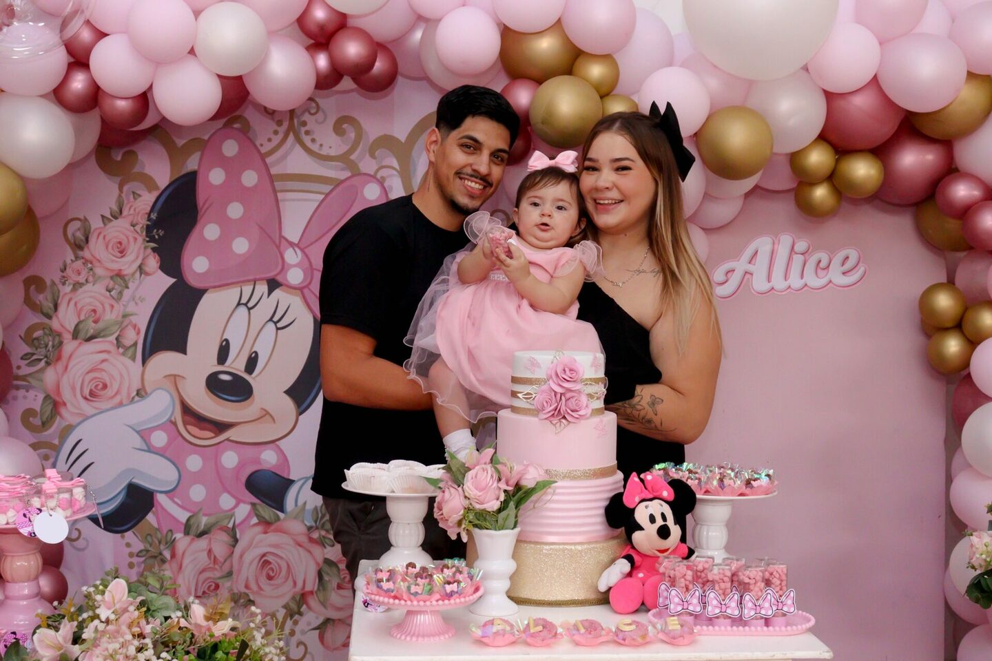 FESTA- ALICE 1 ANINHO